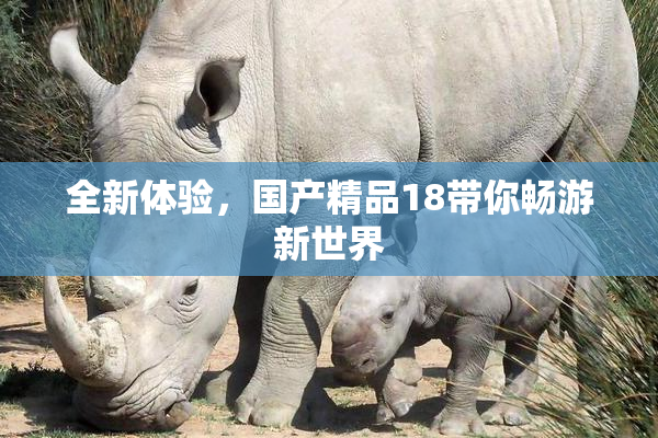 全新体验，国产精品18带你畅游新世界