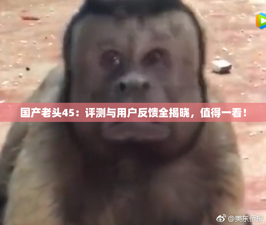 国产老头45：评测与用户反馈全揭晓，值得一看！