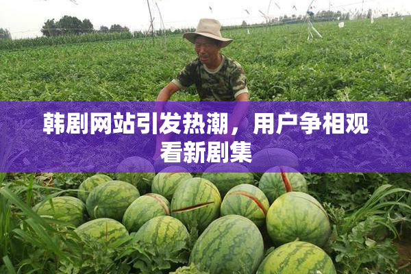 韩剧网站引发热潮，用户争相观看新剧集