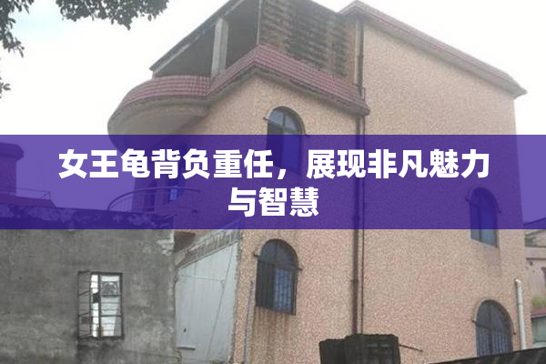 女王龟背负重任，展现非凡魅力与智慧