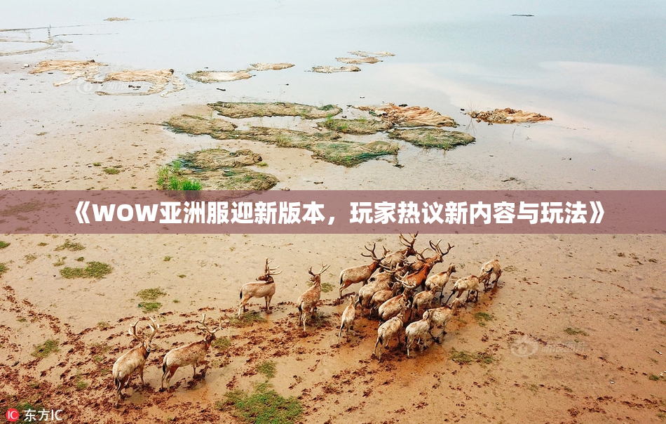 《WOW亚洲服迎新版本，玩家热议新内容与玩法》