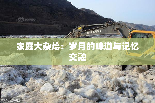 家庭大杂烩：岁月的味道与记忆交融