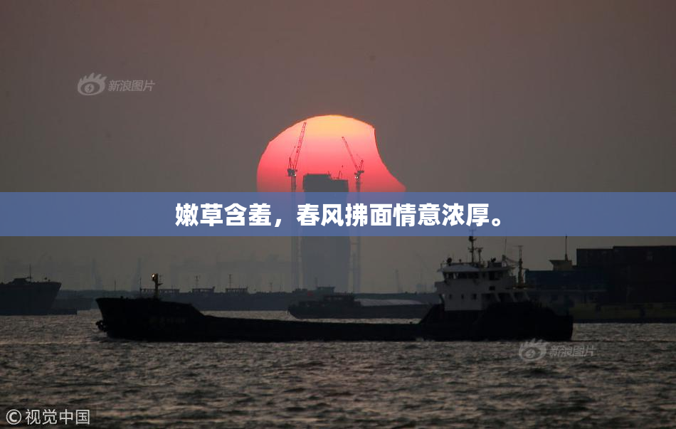 嫩草含羞，春风拂面情意浓厚。
