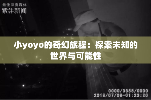 小yoyo的奇幻旅程：探索未知的世界与可能性