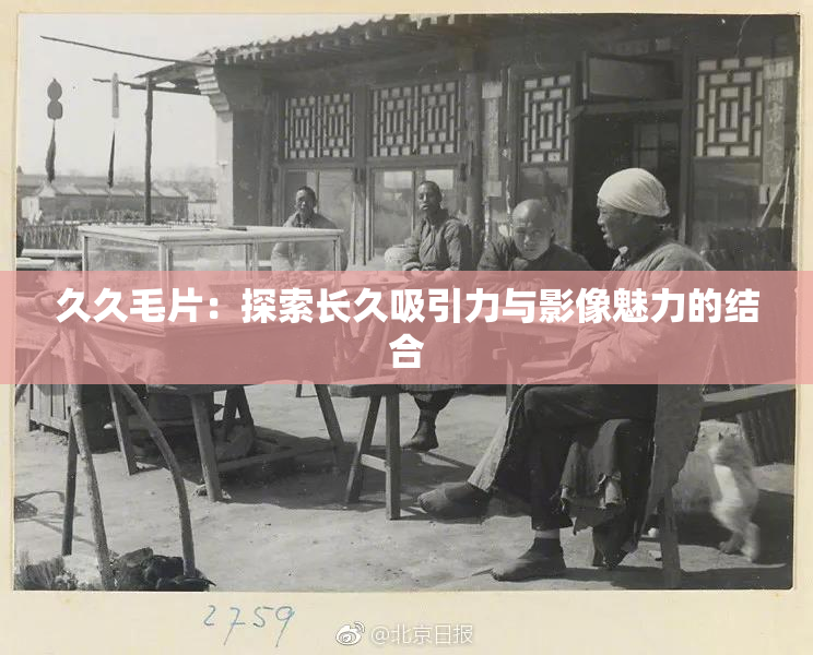 久久毛片：探索长久吸引力与影像魅力的结合