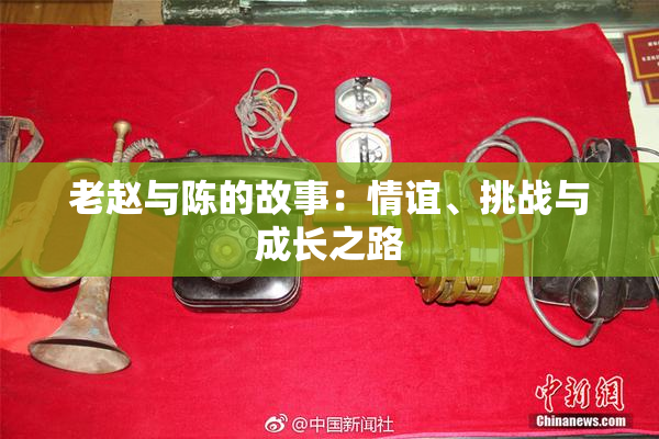老赵与陈的故事：情谊、挑战与成长之路