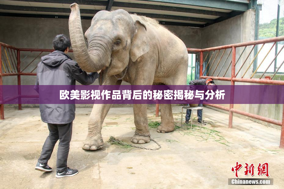 欧美影视作品背后的秘密揭秘与分析