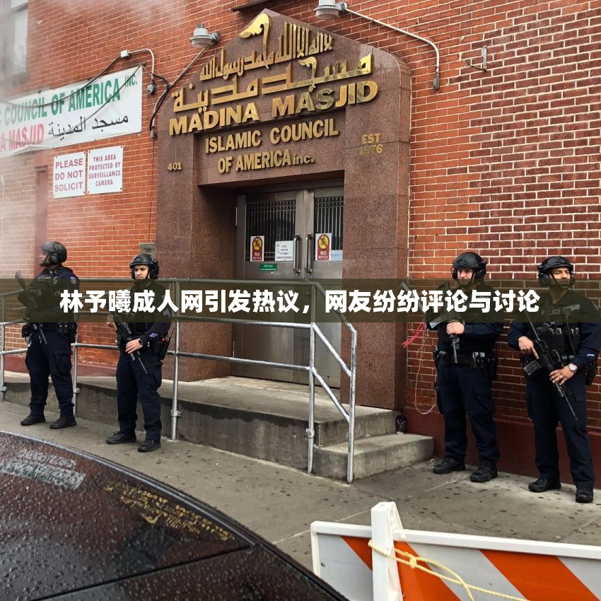 林予曦成人网引发热议，网友纷纷评论与讨论