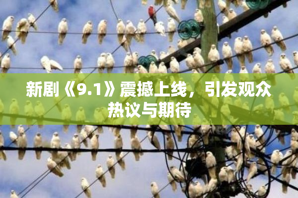 新剧《9.1》震撼上线，引发观众热议与期待