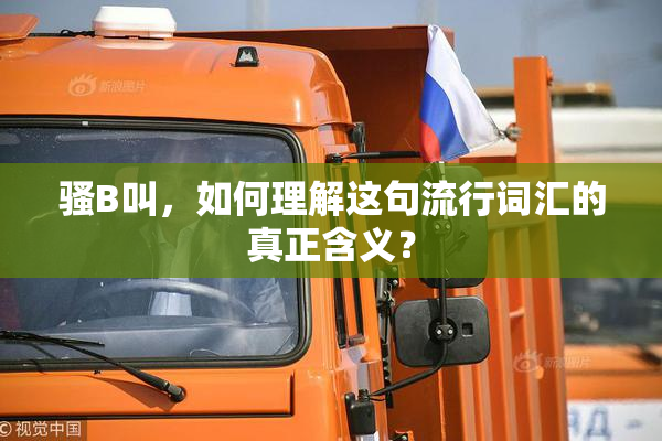 骚B叫，如何理解这句流行词汇的真正含义？