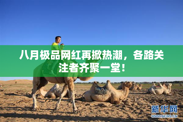 八月极品网红再掀热潮，各路关注者齐聚一堂！