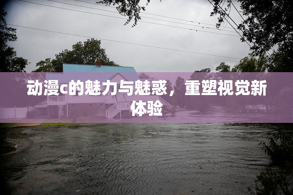 动漫c的魅力与魅惑，重塑视觉新体验
