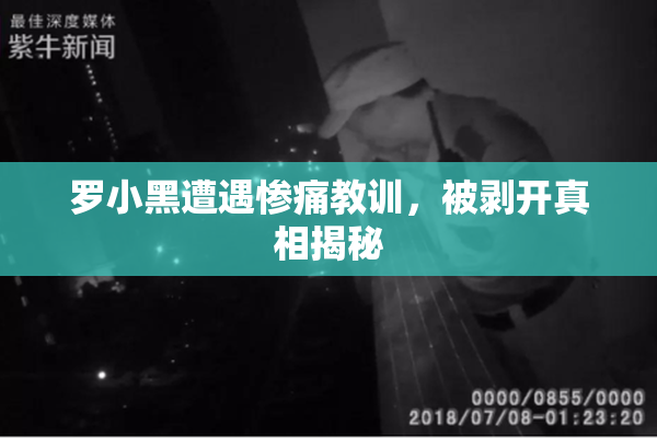 罗小黑遭遇惨痛教训，被剥开真相揭秘