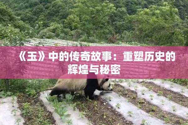 《玉》中的传奇故事：重塑历史的辉煌与秘密