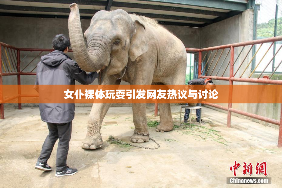 女仆裸体玩耍引发网友热议与讨论