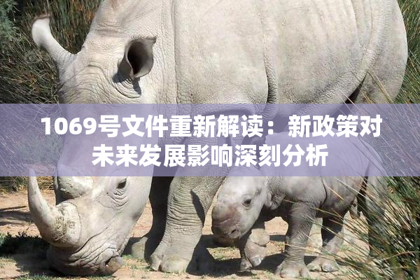 1069号文件重新解读：新政策对未来发展影响深刻分析