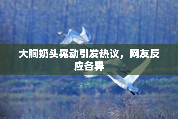 大胸奶头晃动引发热议，网友反应各异