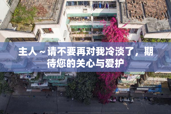 主人～请不要再对我冷淡了，期待您的关心与爱护