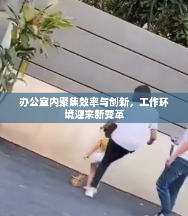 办公室内聚焦效率与创新，工作环境迎来新变革