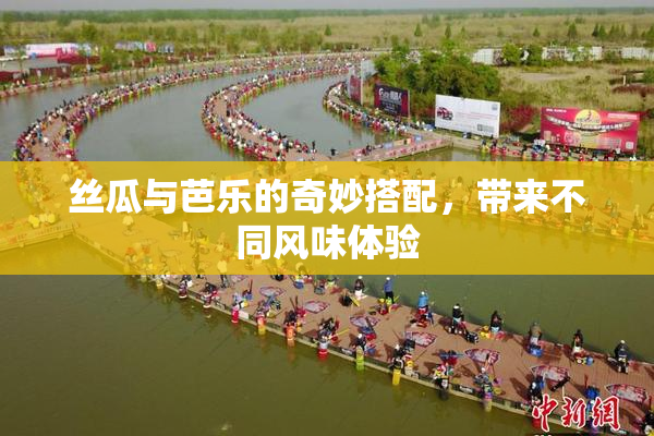 丝瓜与芭乐的奇妙搭配，带来不同风味体验