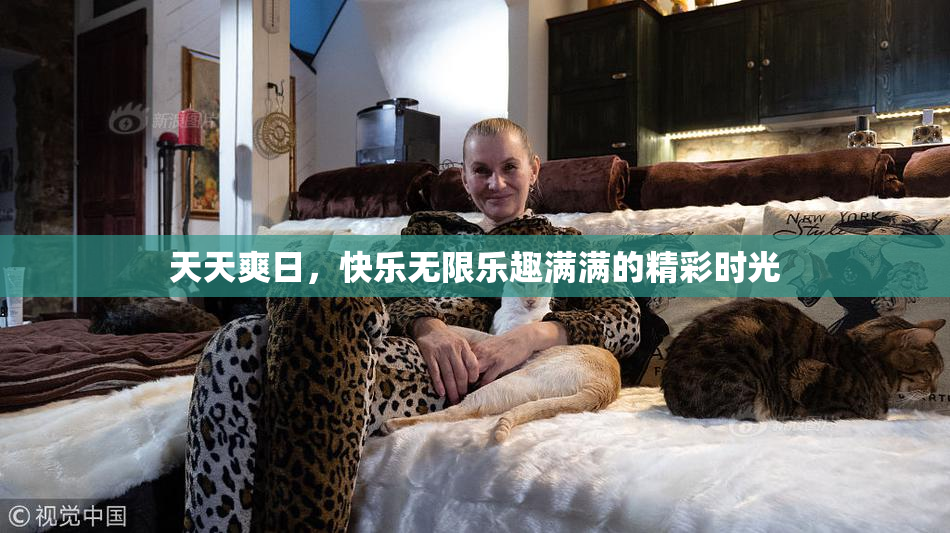 天天爽日，快乐无限乐趣满满的精彩时光