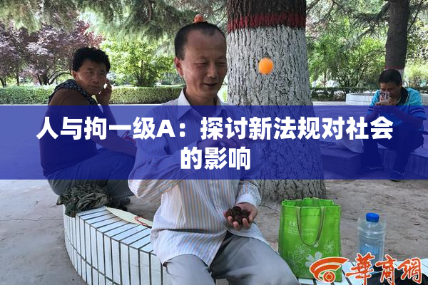 人与拘一级A：探讨新法规对社会的影响