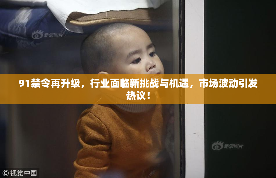 91禁令再升级，行业面临新挑战与机遇，市场波动引发热议！