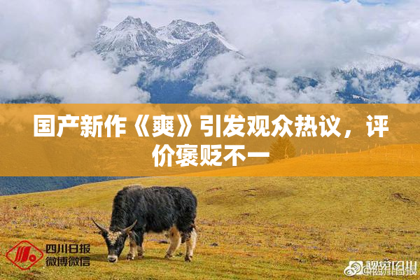 国产新作《爽》引发观众热议，评价褒贬不一
