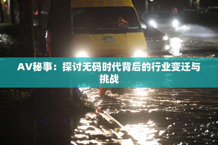 AV秘事：探讨无码时代背后的行业变迁与挑战