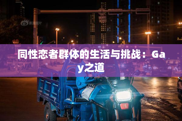 同性恋者群体的生活与挑战：Gay之道