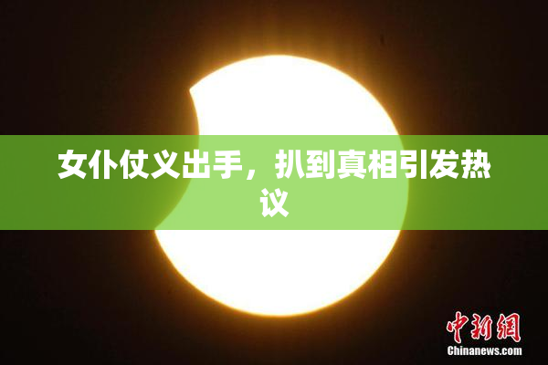 女仆仗义出手，扒到真相引发热议