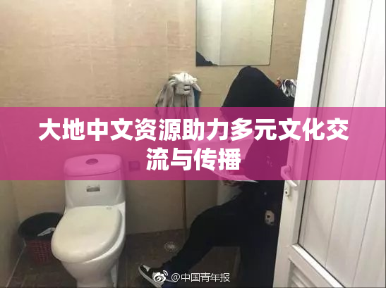 大地中文资源助力多元文化交流与传播