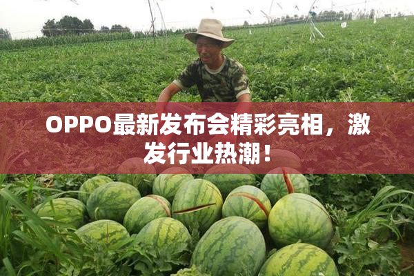 OPPO最新发布会精彩亮相，激发行业热潮！