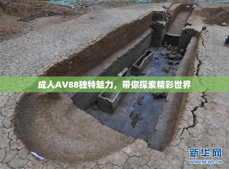 成人AV88独特魅力，带你探索精彩世界