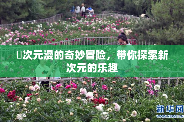 囧次元漫的奇妙冒险，带你探索新次元的乐趣