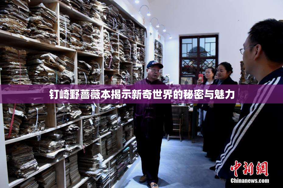 钉崎野蔷薇本揭示新奇世界的秘密与魅力