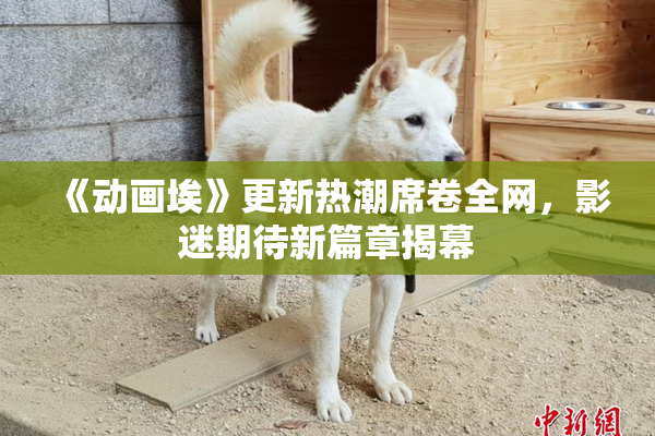 《动画埃》更新热潮席卷全网，影迷期待新篇章揭幕