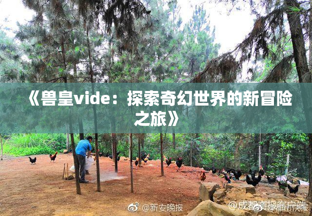 《兽皇vide：探索奇幻世界的新冒险之旅》