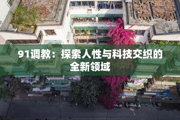 91调教：探索人性与科技交织的全新领域