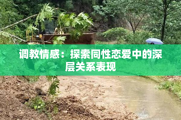 调教情感：探索同性恋爱中的深层关系表现