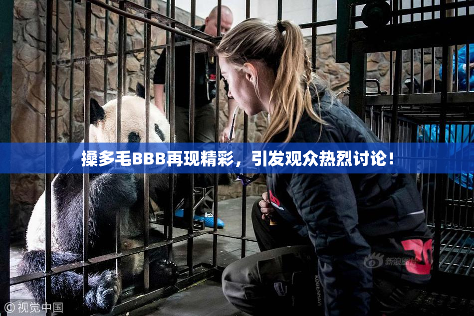 搡多毛BBB再现精彩，引发观众热烈讨论！
