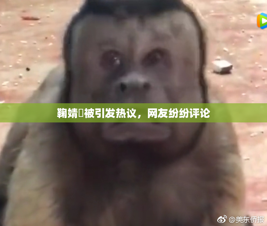 鞠婧祎被引发热议，网友纷纷评论