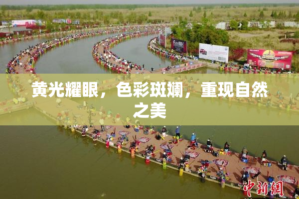 黄光耀眼，色彩斑斓，重现自然之美