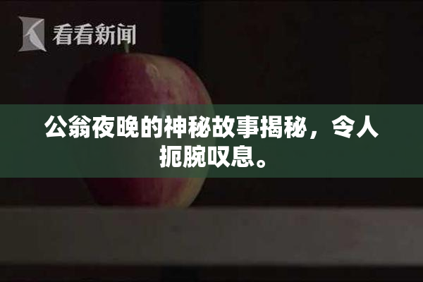 公翁夜晚的神秘故事揭秘，令人扼腕叹息。