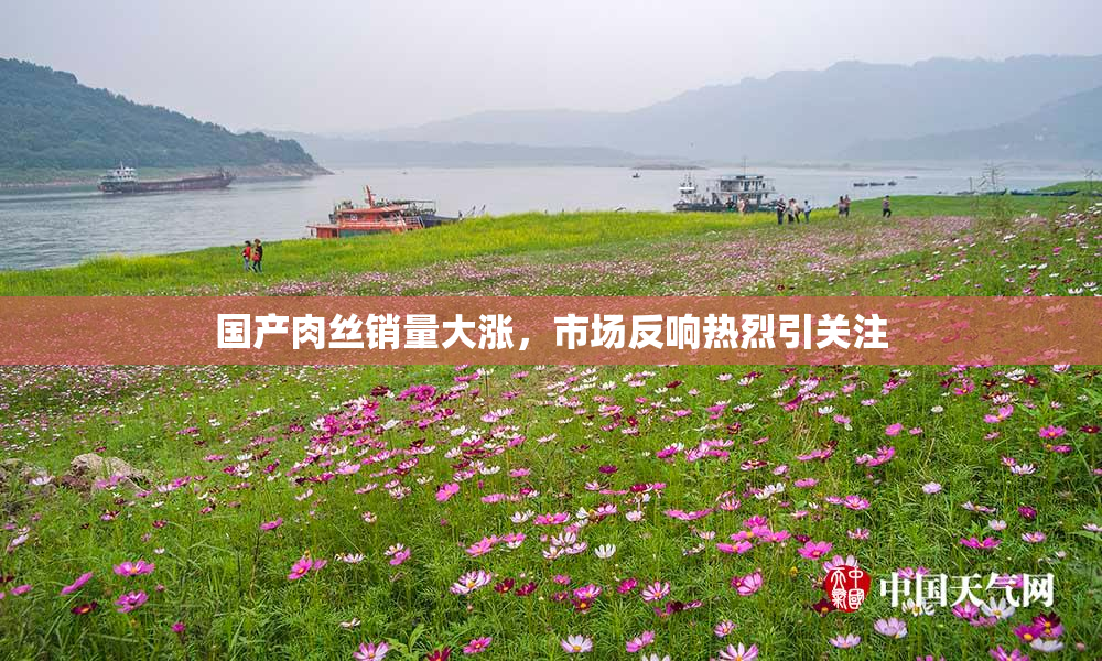 国产肉丝销量大涨，市场反响热烈引关注