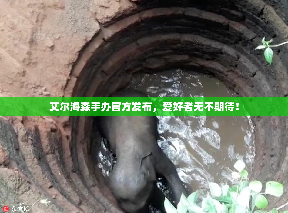 艾尔海森手办官方发布，爱好者无不期待！