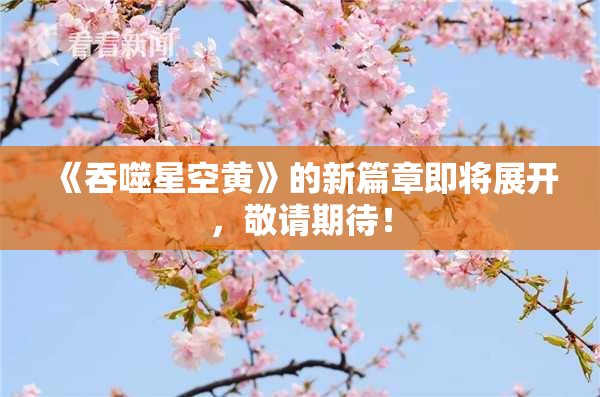 《吞噬星空黄》的新篇章即将展开，敬请期待！