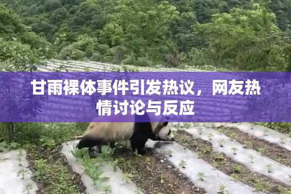 甘雨裸体事件引发热议，网友热情讨论与反应