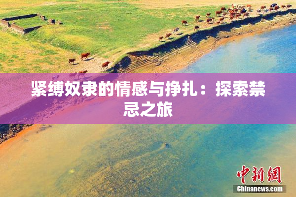紧缚奴隶的情感与挣扎：探索禁忌之旅