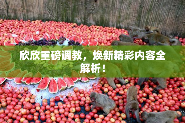 欣欣重磅调教，焕新精彩内容全解析！